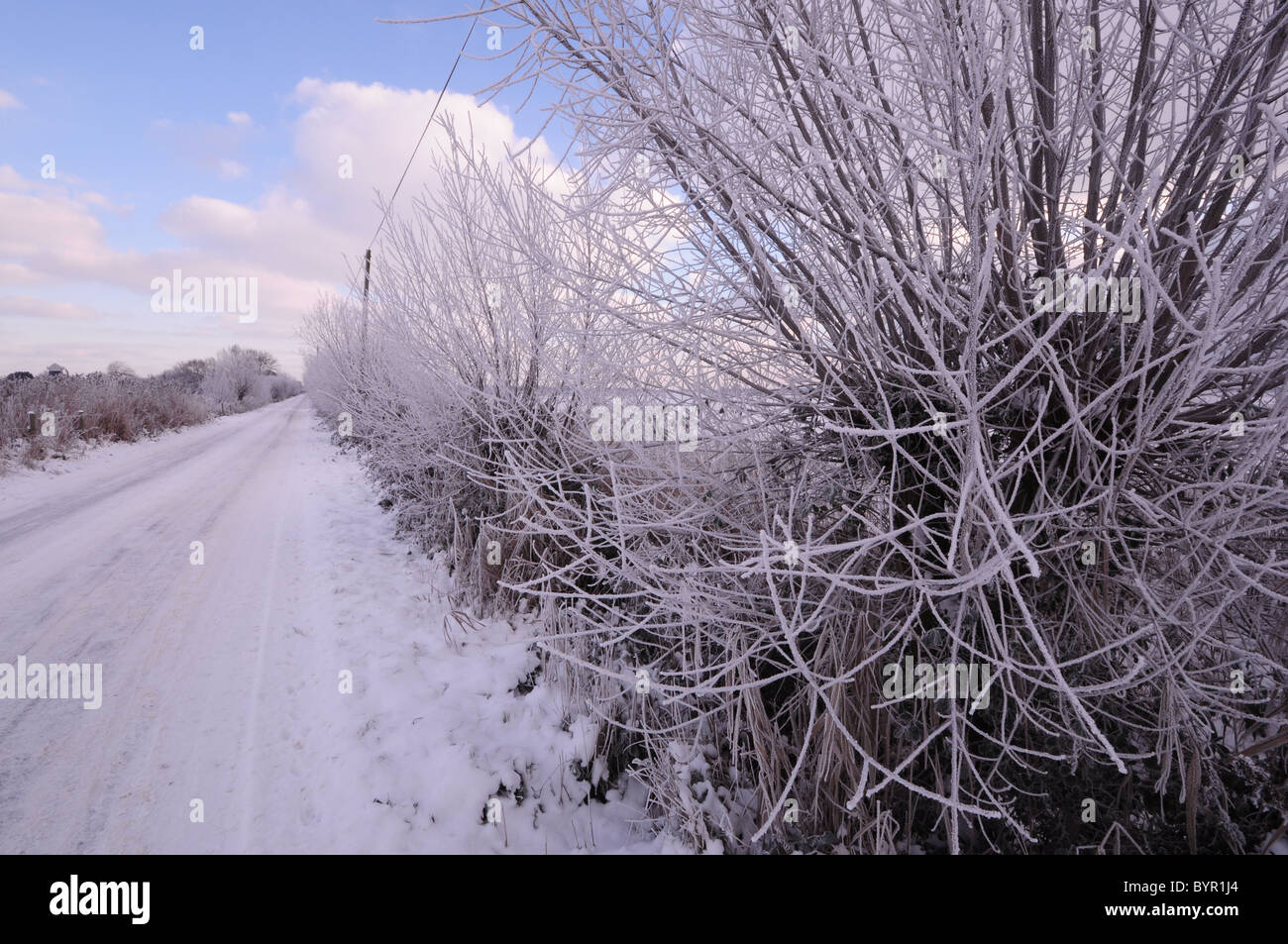 La neige et le gel près de Nogdam Fin, Norfolk Broads. Banque D'Images