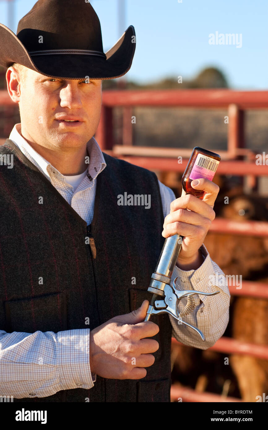 Éleveur de bétail - une seringue de remplissage pour médecin du bétail dans un corral / Childress, Texas, USA. Banque D'Images