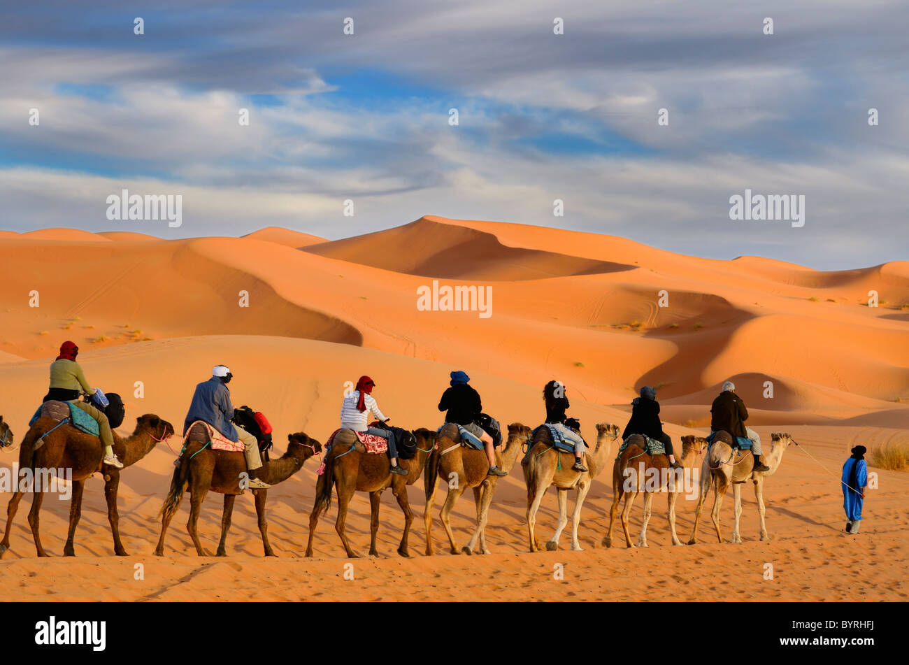 Homme berbère touareg à la tête d'un groupe de touristes sur des chameaux à travers le désert erg Chebbi dunes de sable d'or au Maroc Banque D'Images