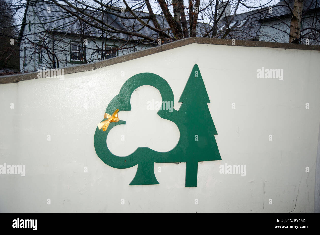 Ruban jaune, de protestation en forêt de Dean à la vente proposés par le gouvernement des zones boisées et des forêts de la Commission des forêts Banque D'Images