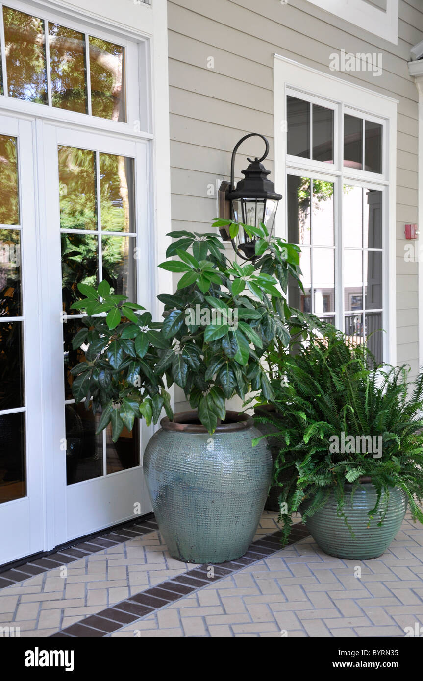 Plusieurs plantes d'extérieur de grands vases assis sur un porche couvert par des portes en verre. Banque D'Images
