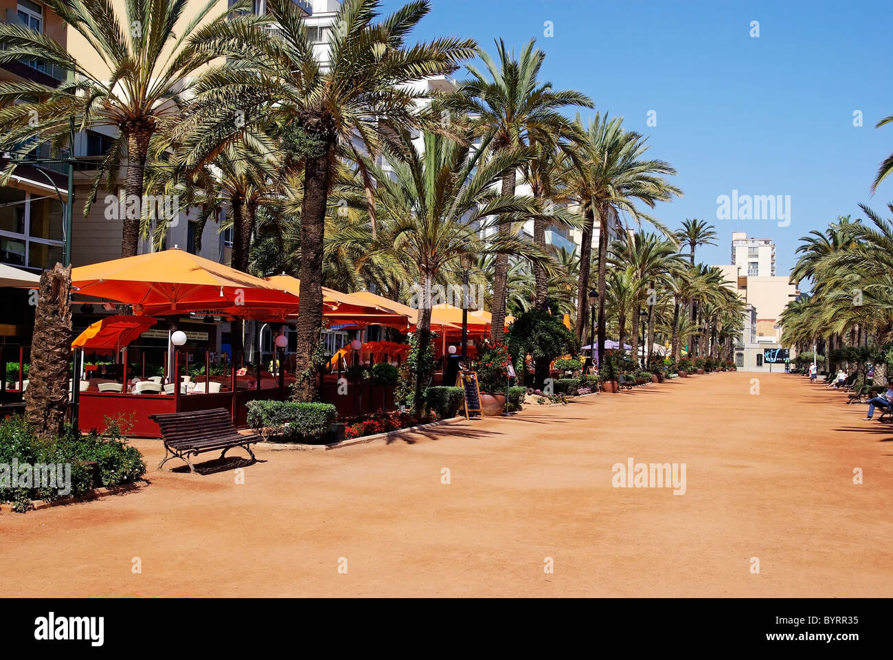 Allée principale de Lloret de Mar sur la côte. Costa Brava, Espagne. Banque D'Images