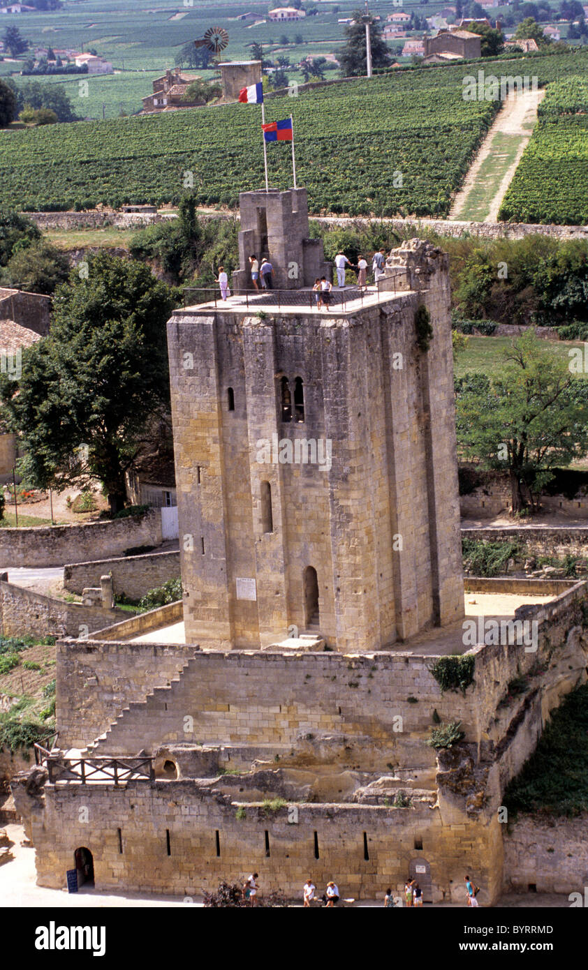 France, Aquitaine, St Emilion, région productrice de vin. Banque D'Images