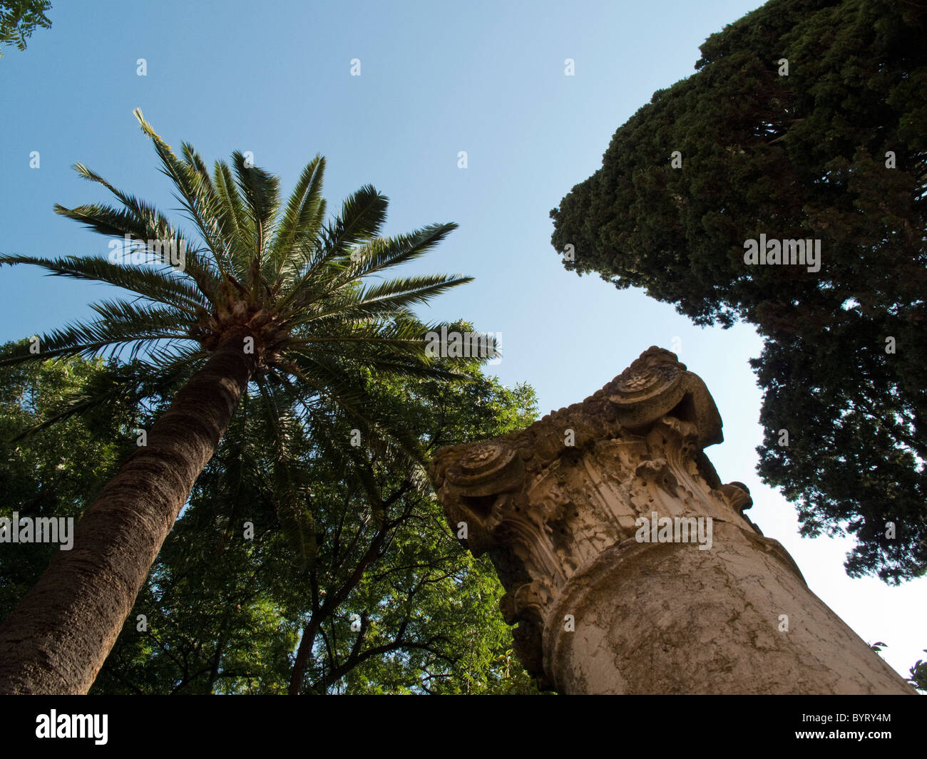 L'Alcázar de Séville (Reales Alcázares de Sevilla' ou 'Royal Alcazars de Séville") Banque D'Images