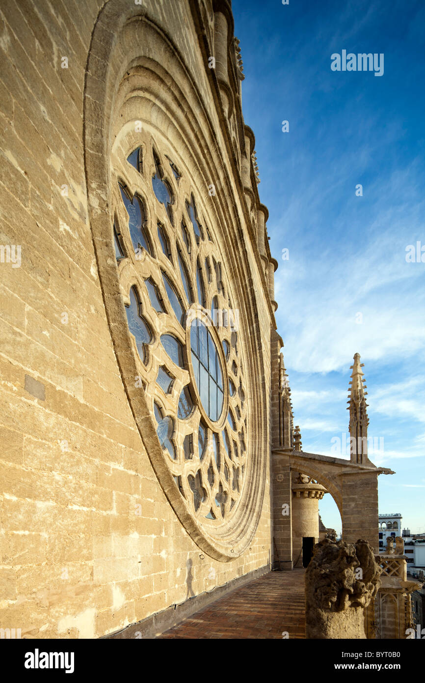 Detial de la rose sur la façade de Santa Maria de la Sede, Cathédrale de Séville, Espagne Banque D'Images