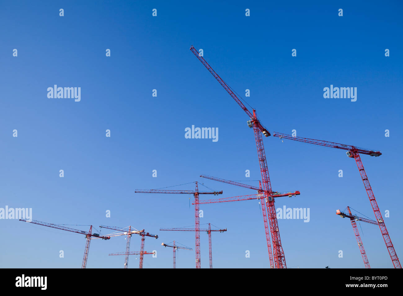 Grues de construction Banque D'Images