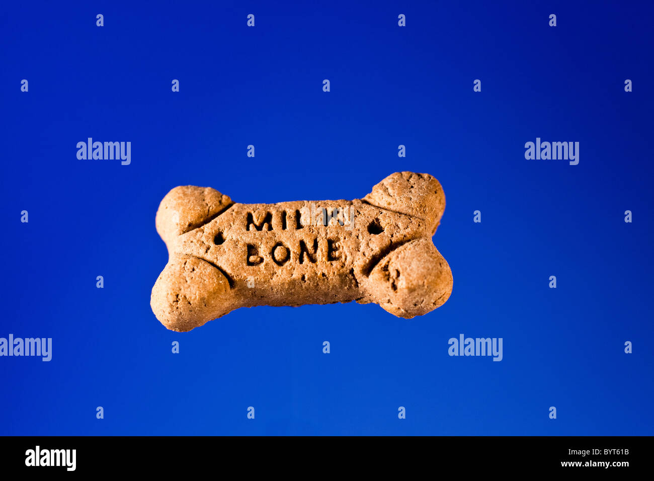 Un os de chien os Banque de photographies et d’images à haute résolution Alamy