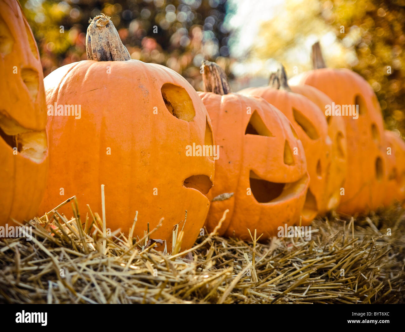 Citrouilles d'Halloween avec des visages sculptés alignés sur haut de bottes de paille Banque D'Images