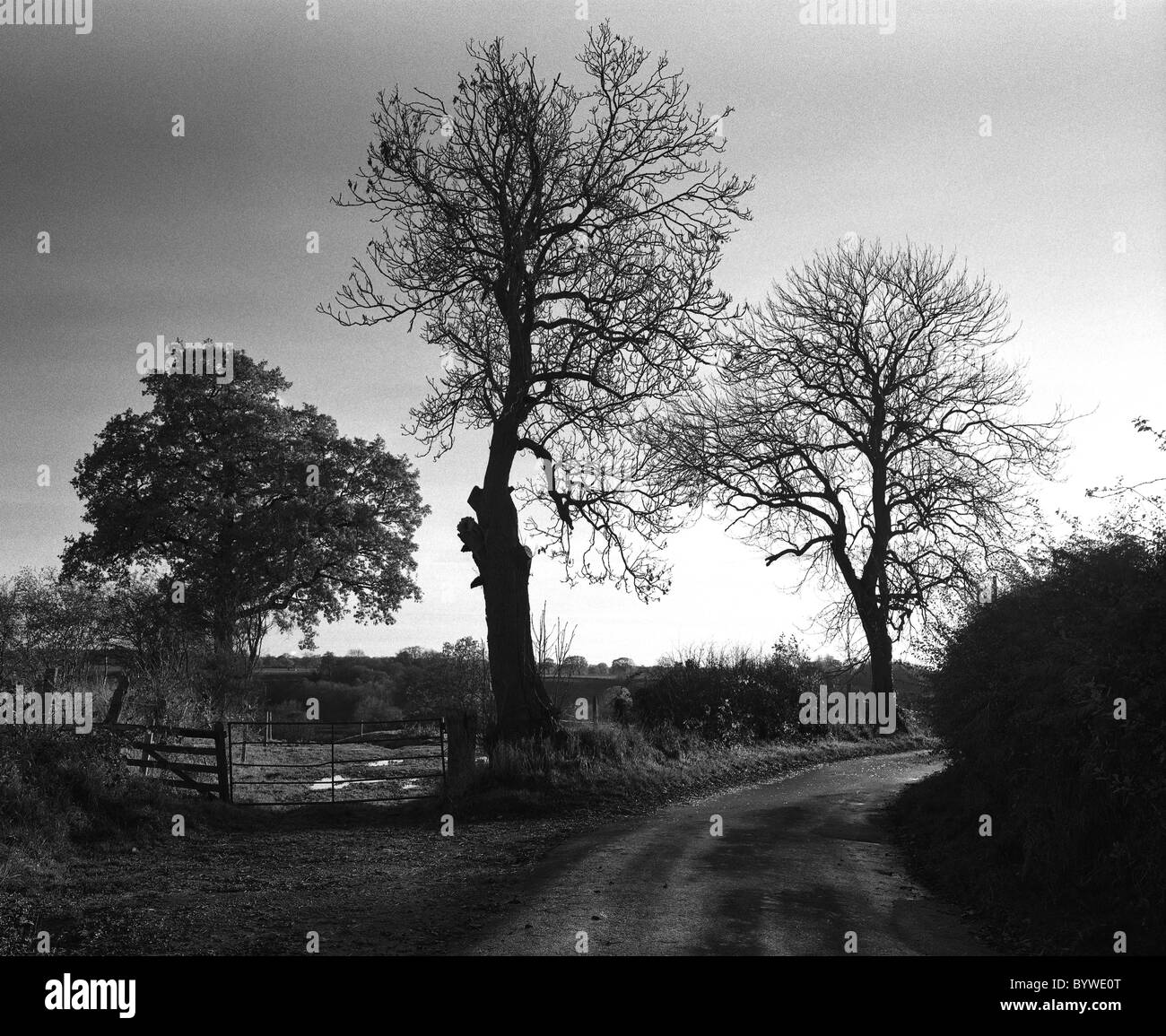 Vue sur la campagne de Cheshire UK Swettenham Banque D'Images