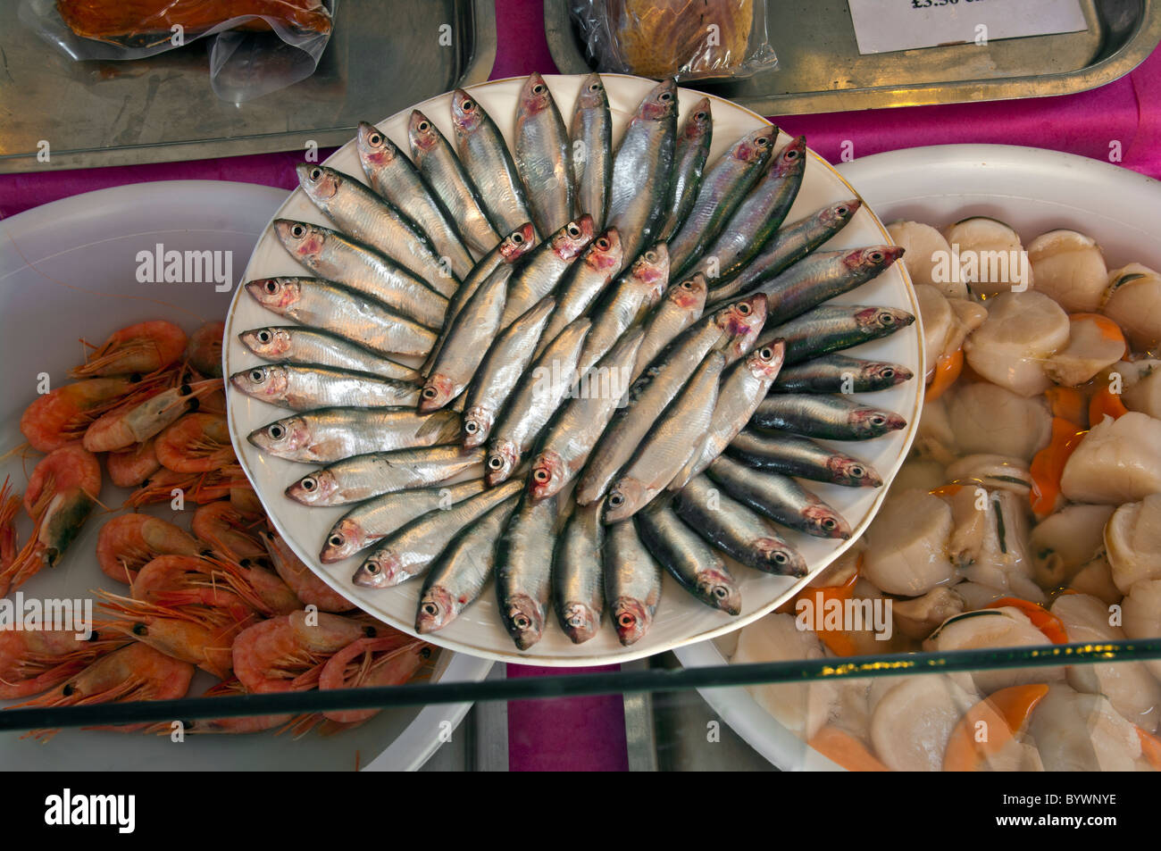 Plaque de base de l'anchois sur un comptoir de poissons Banque D'Images