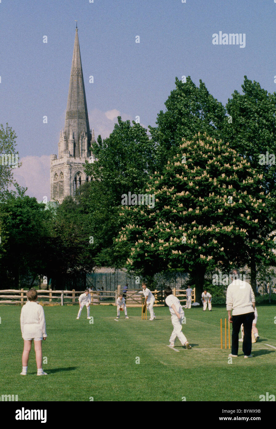 Garçons à jouer au cricket Banque D'Images