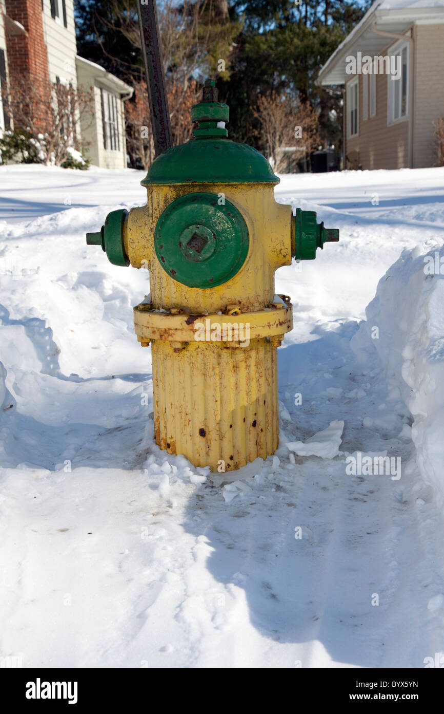 Incendie Hydrant récemment éliminé de la neige Kalamazoo Michigan Etats-Unis, par James D Coppinger/Dembinsky photo Assoc Banque D'Images