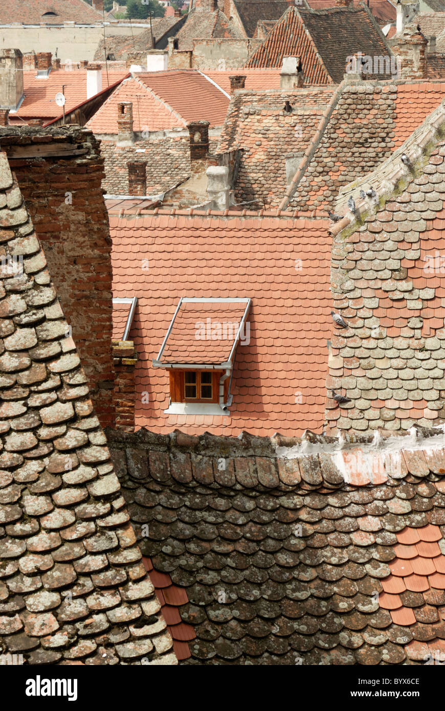 Vue sur les toits de la vieille ville de Sibiu, Roumanie Banque D'Images