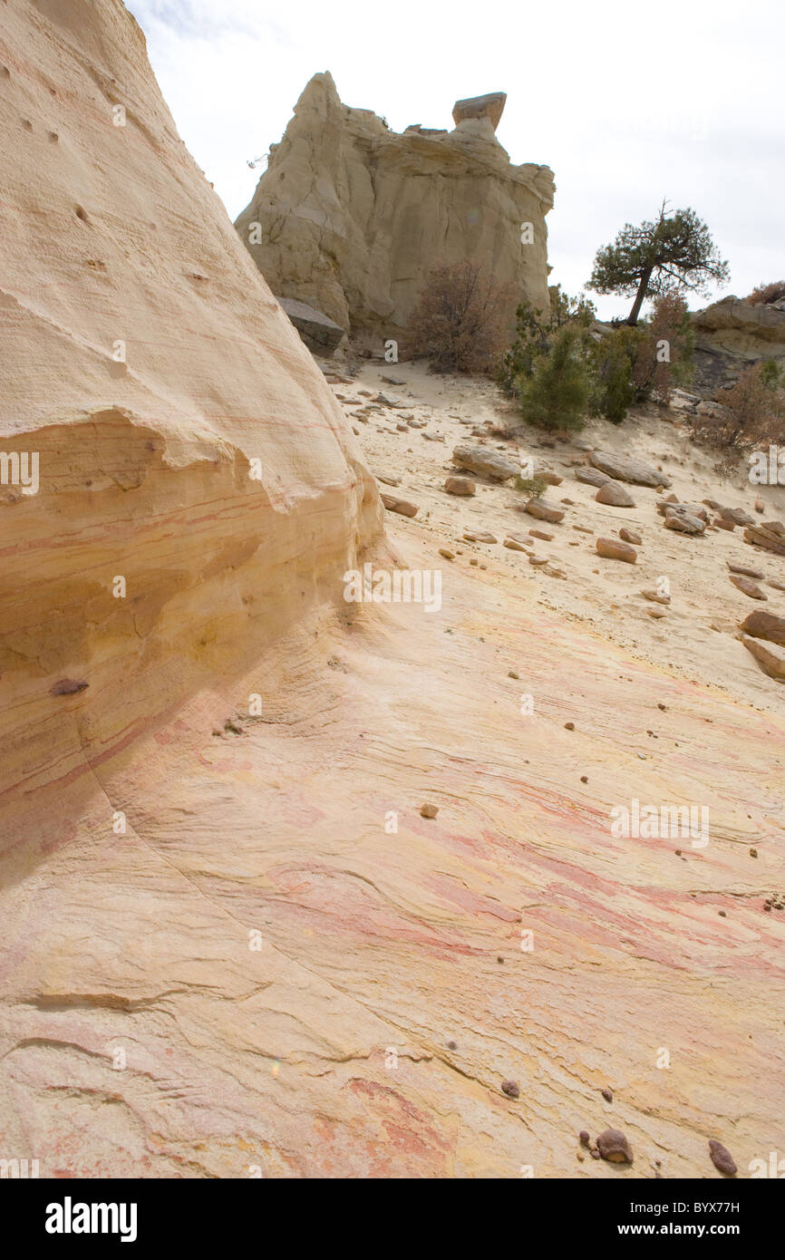 Paysage désertique avec sable multicolore rock formation, New Mexico, USA Banque D'Images