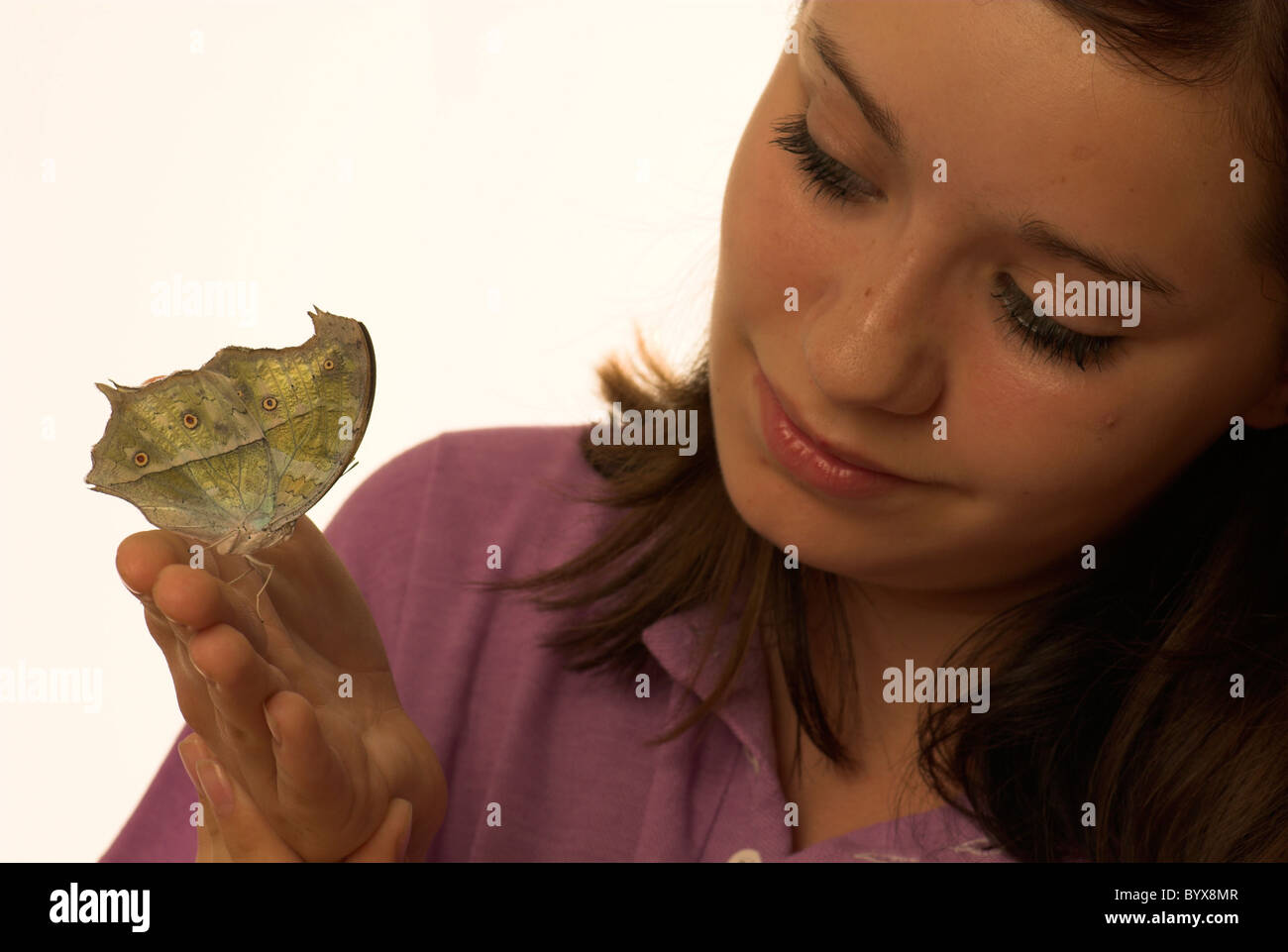 Young Girl holding Mother of Pearl Butterfly Banque D'Images