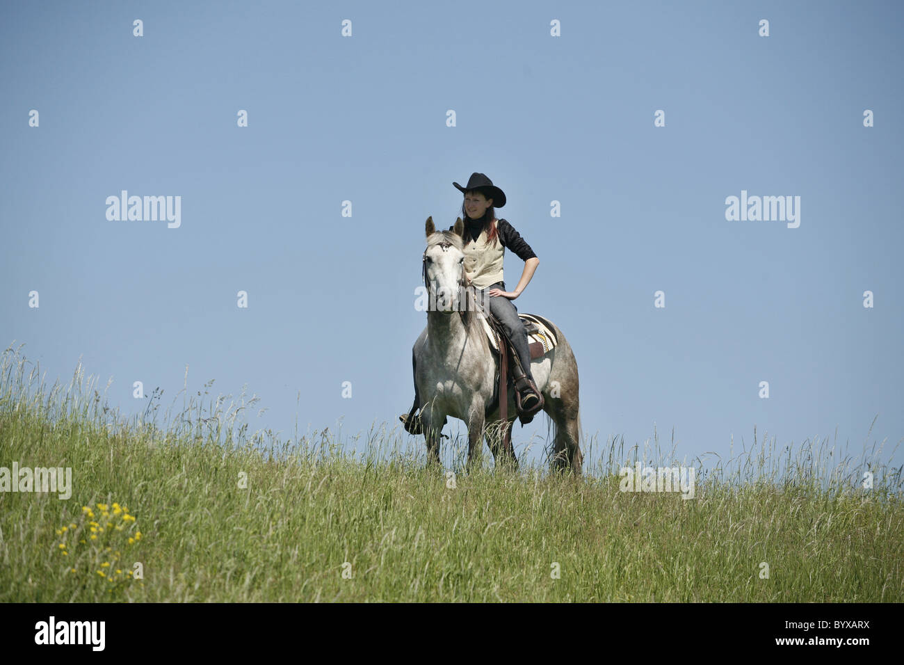 Westernreiter / western rider Banque D'Images
