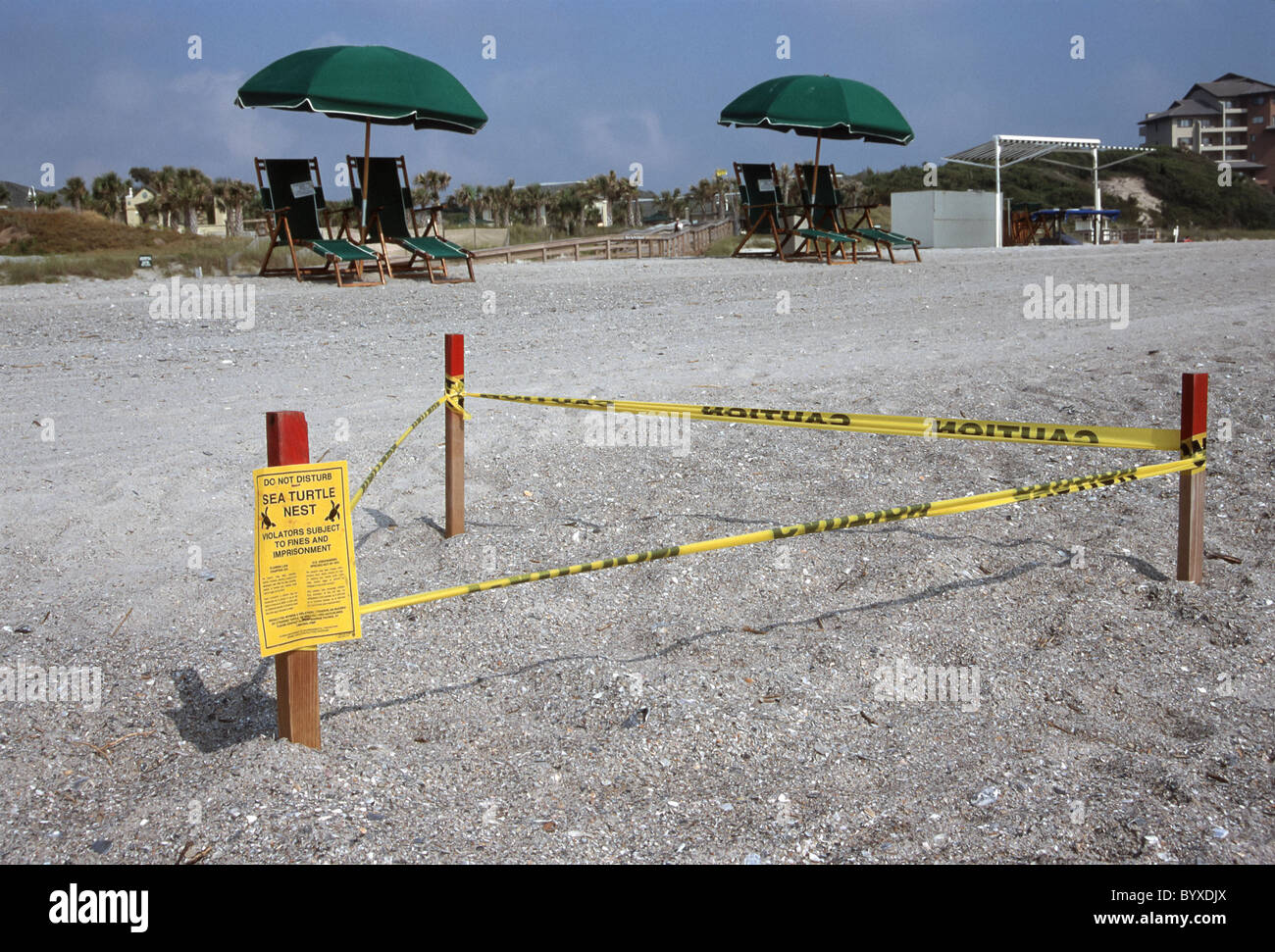 Tortue de mer désignée zone de nidification protégée le long de la plage à Amelia Island en Floride Banque D'Images