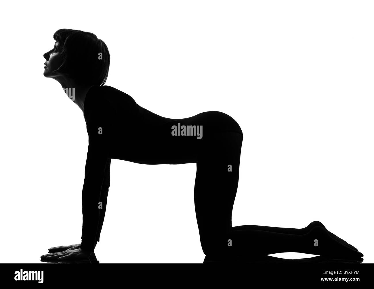 Chat Bidalasana posent yoga woman position posture en silhouette sur fond blanc studio Banque D'Images