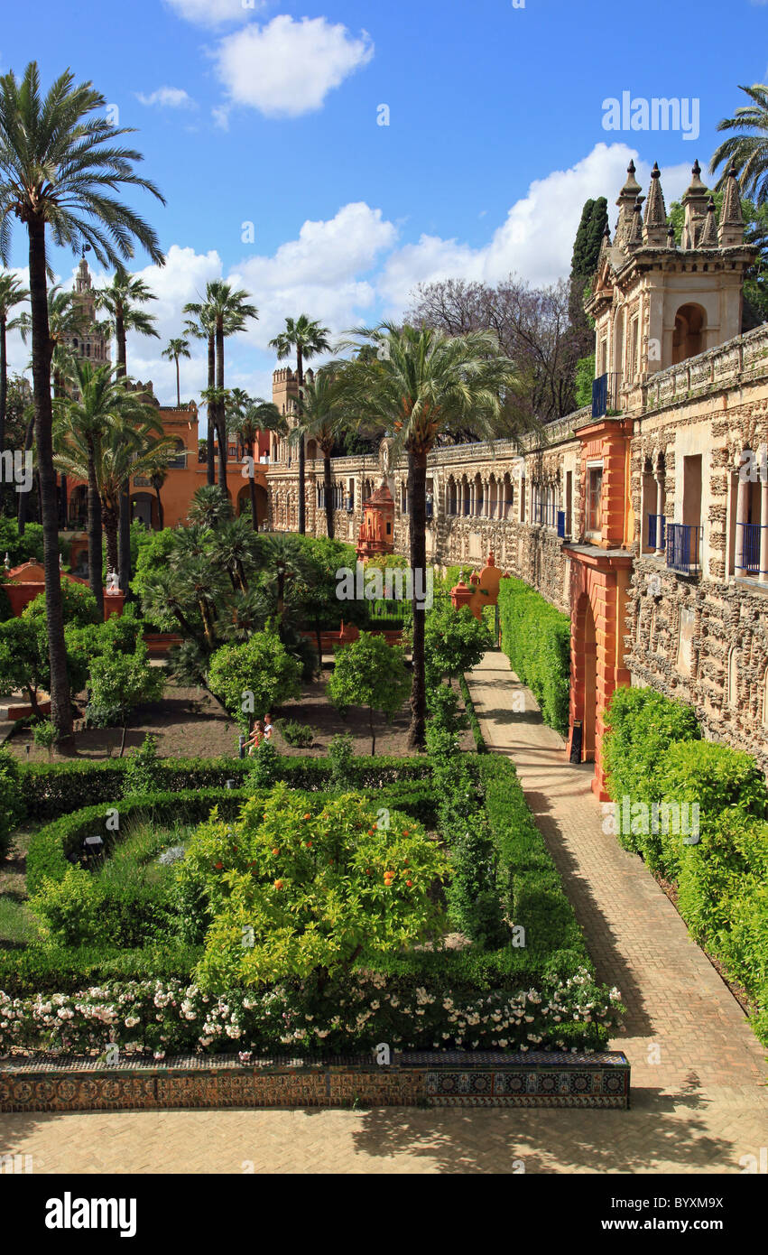 Jardins de l'Alcazar de Séville, Espagne Banque D'Images