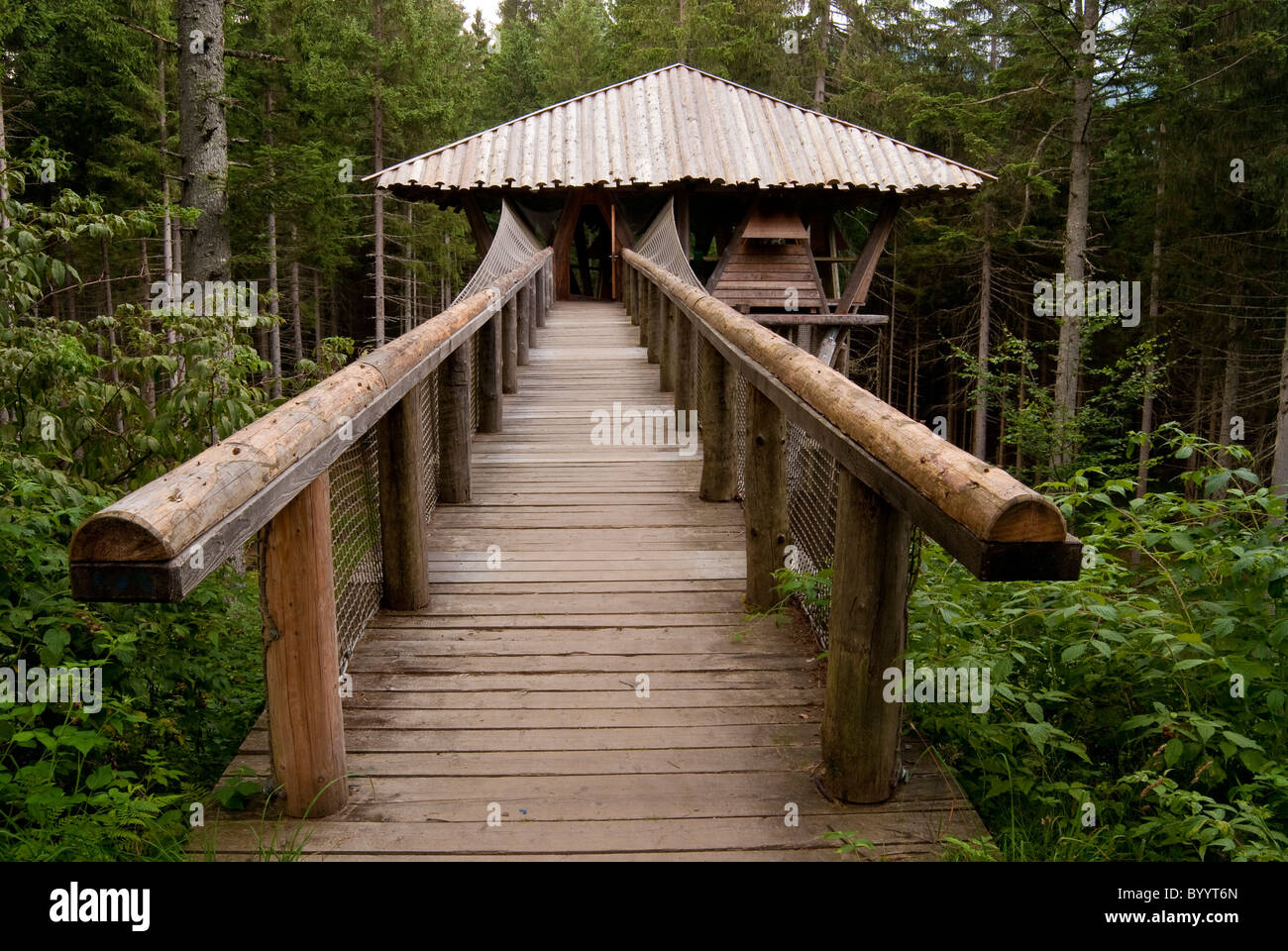 Sujet hut à Falkenstein Camp de pleine nature, le Parc National de la forêt bavaroise, Bavière, Allemagne. Banque D'Images