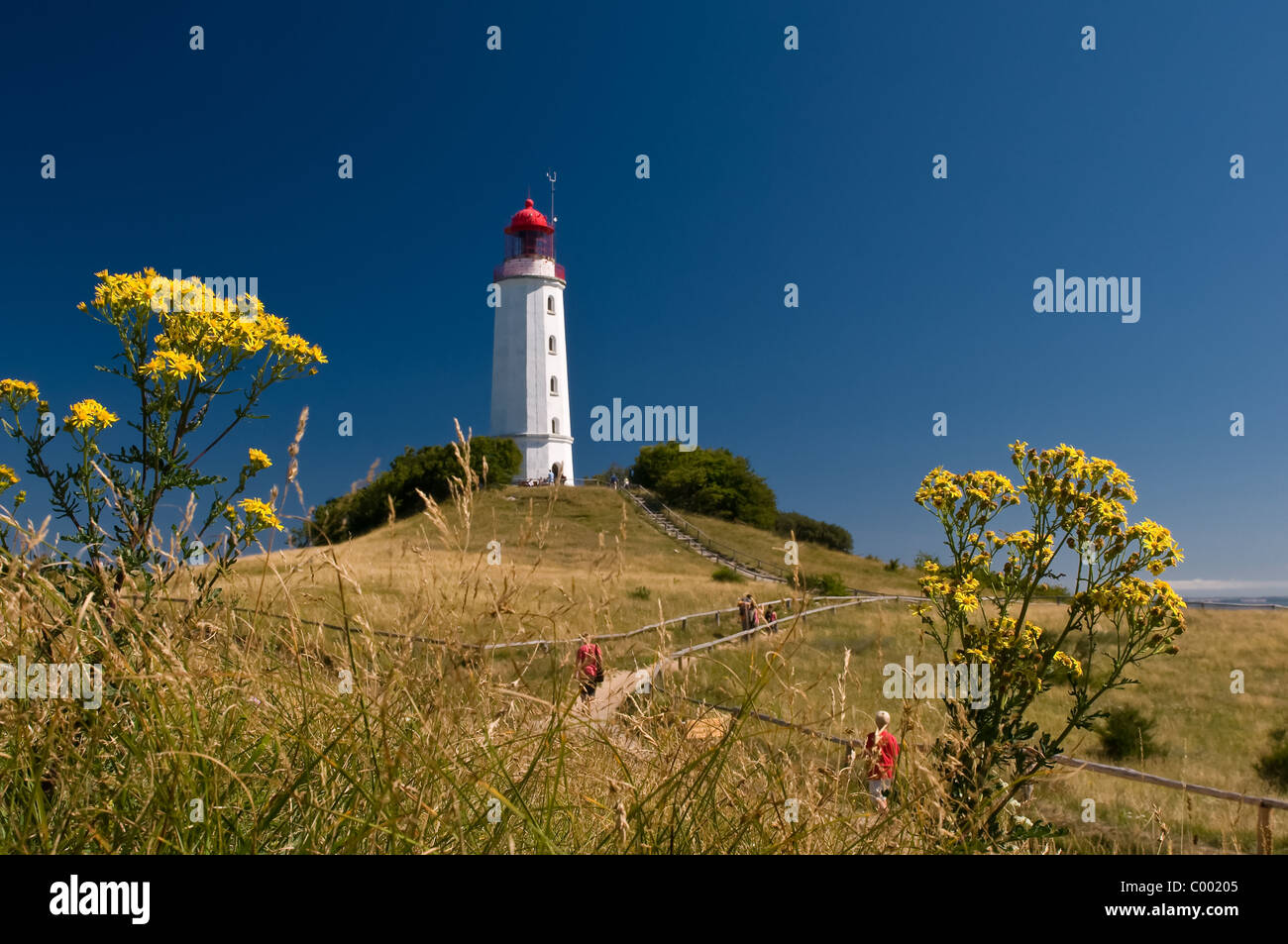 Le célèbre phare sur l'île de Hiddensee, mer Baltique, Allemagne Banque D'Images