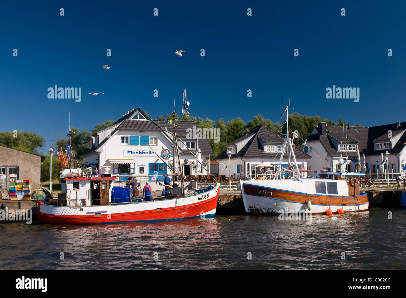 L'Allemagne, l'île de Hiddensee, mer Baltique Banque D'Images