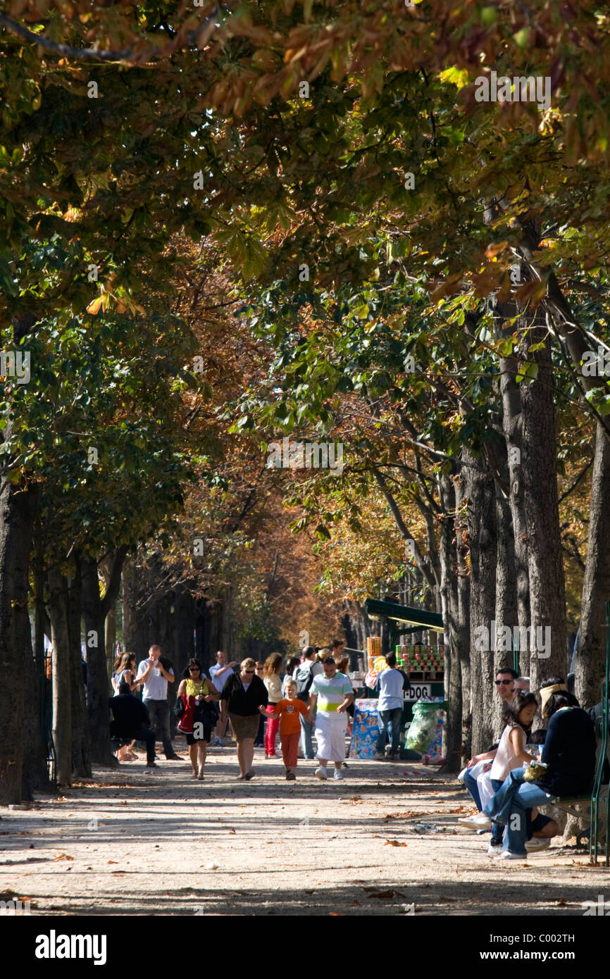 Les piétons marchent sur les trottoirs à l'ombre des arbres le long de l'Avenue des Champs-Elysées à Paris, France. Banque D'Images