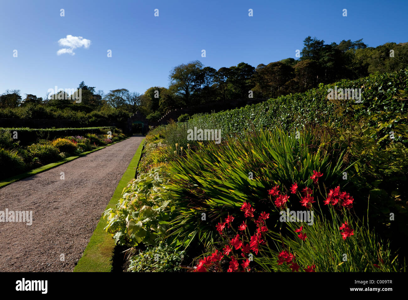 L'époque victorienne du xixe siècle restauré, jardin clos de l'abbaye de Kylemore, Connemara, comté de Galway, Irlande. Il a ré-ouvert ses portes en 2000. Banque D'Images