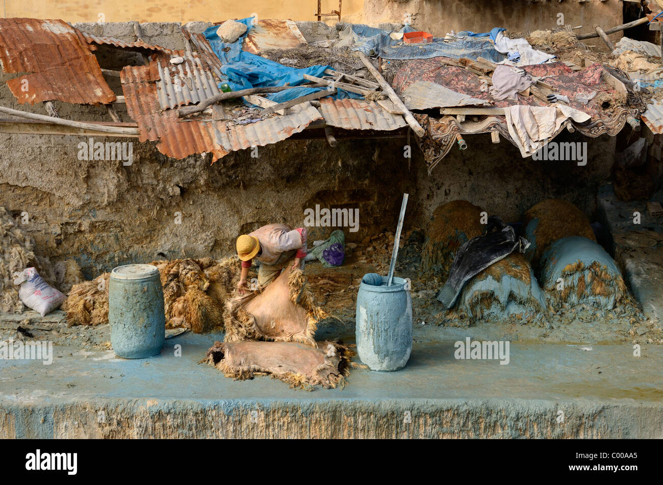 Fes tannerie travailleur en application de peinture toit décrépit cuirs avec chrome bleu toxiques par l'Oued Fes Fez Maroc Chouara rivière trimestre l'Afrique du Nord Banque D'Images