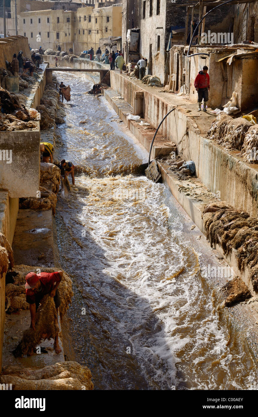 Tannerie Fes occupé après Eid al Adha avec lave-travailleurs dans les peaux Fes wadi river Chouara Trimestre Afrique du Nord Maroc Fès Banque D'Images