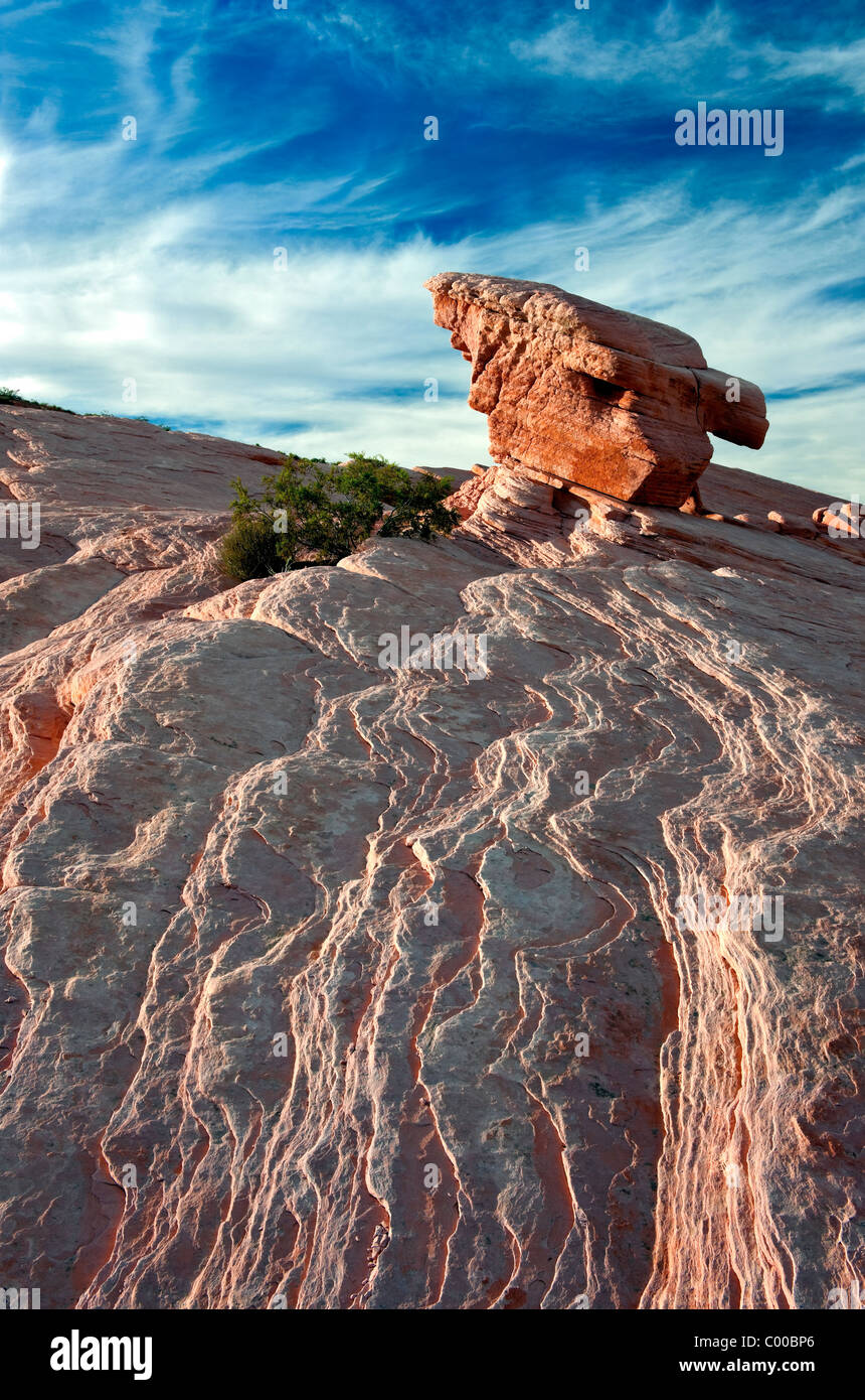 Un équilibrage de Lone Rock se trouve au-dessus de ce plateau de grès dans le parc Vallée de Feu. Banque D'Images