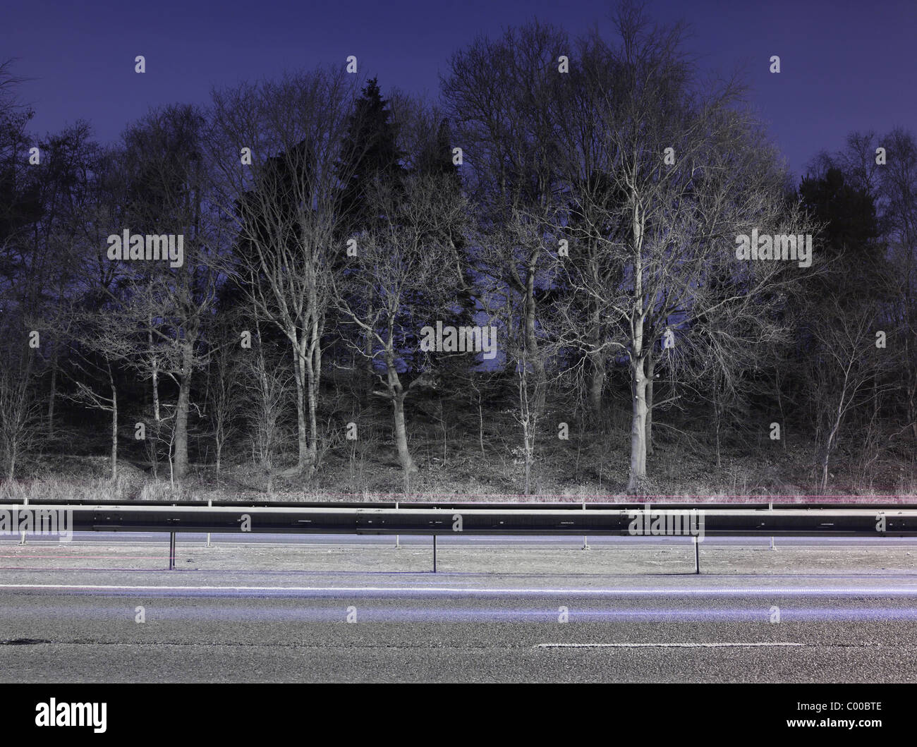 Route et arbres éclairés par des lumières de rue dans la nuit avec un ciel bleu , pris par endroits Banque D'Images