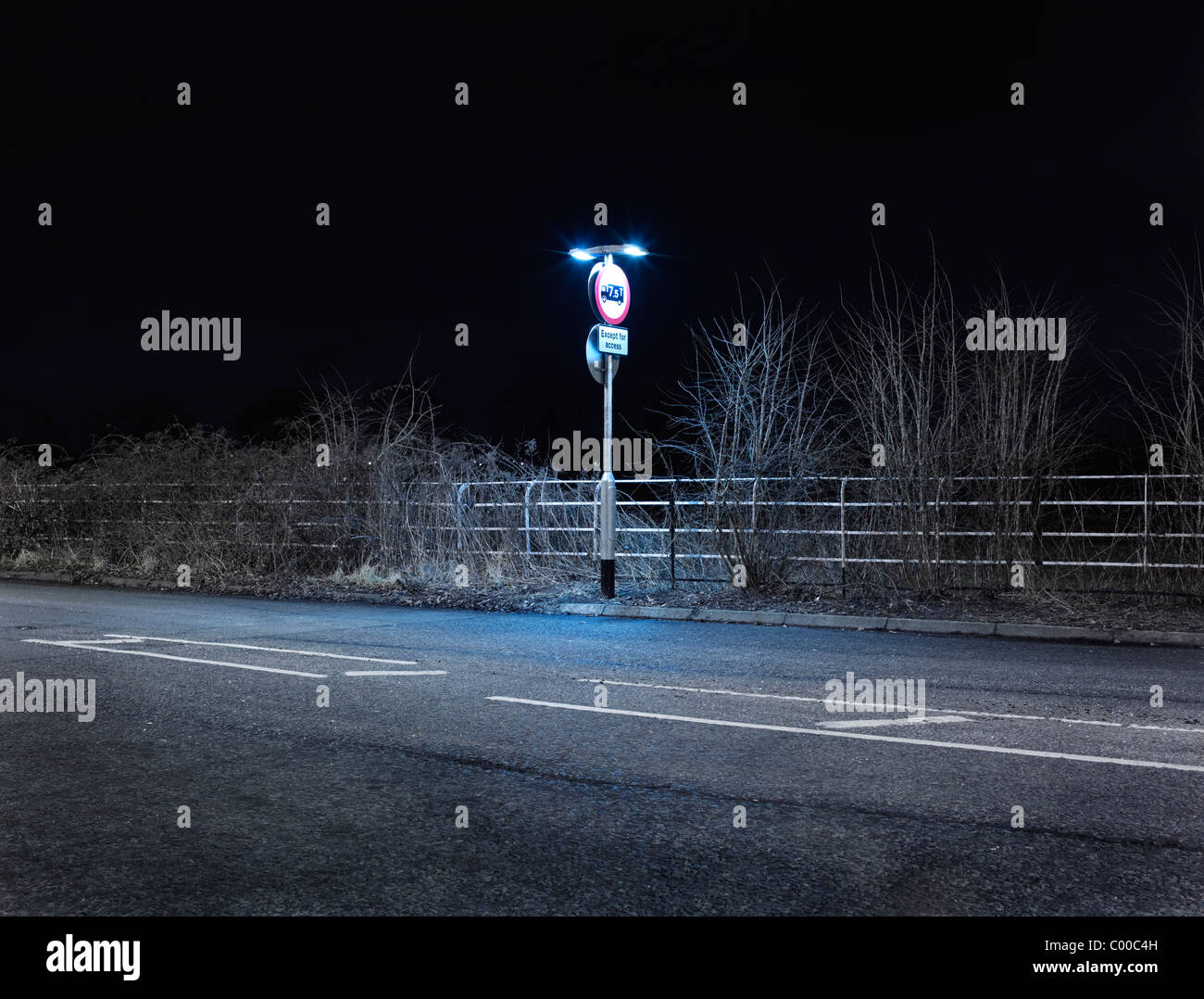 Route et arbres éclairés par des lumières de rue dans la nuit avec un ciel bleu , pris par endroits Banque D'Images