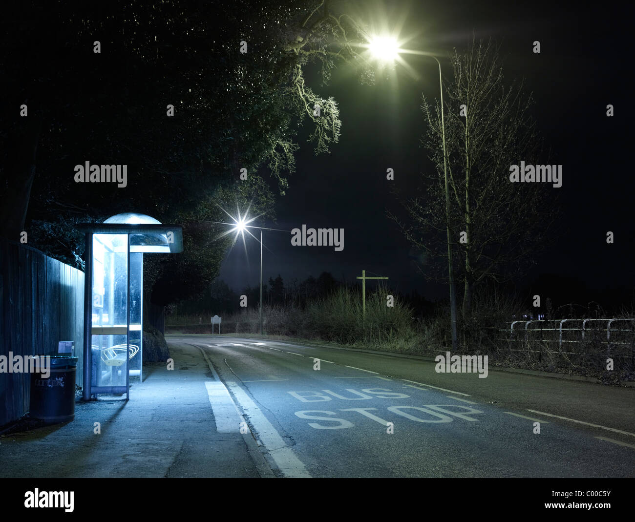 Route et arbres éclairés par des lumières de rue dans la nuit avec un ciel bleu , pris par endroits Banque D'Images