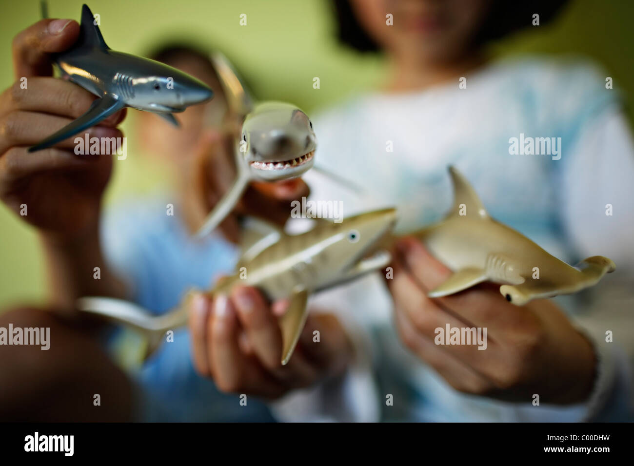 Les enfants occupent les requins de jouets Banque D'Images