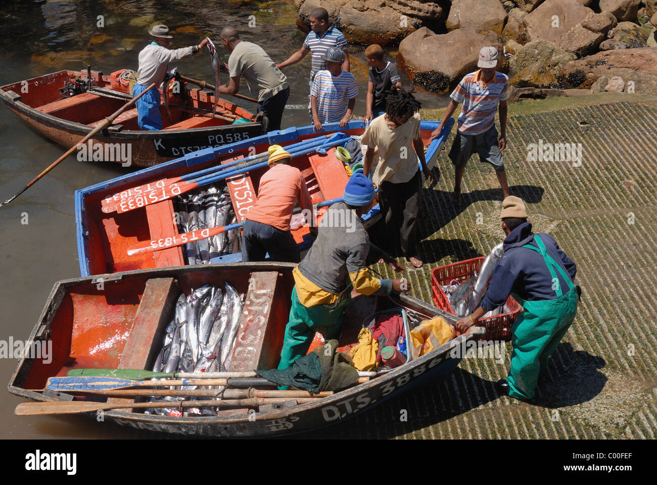 Les pêcheurs de subsistance des bateaux de débarquement, Elands Bay Afrique du Sud de la Côte Ouest Banque D'Images