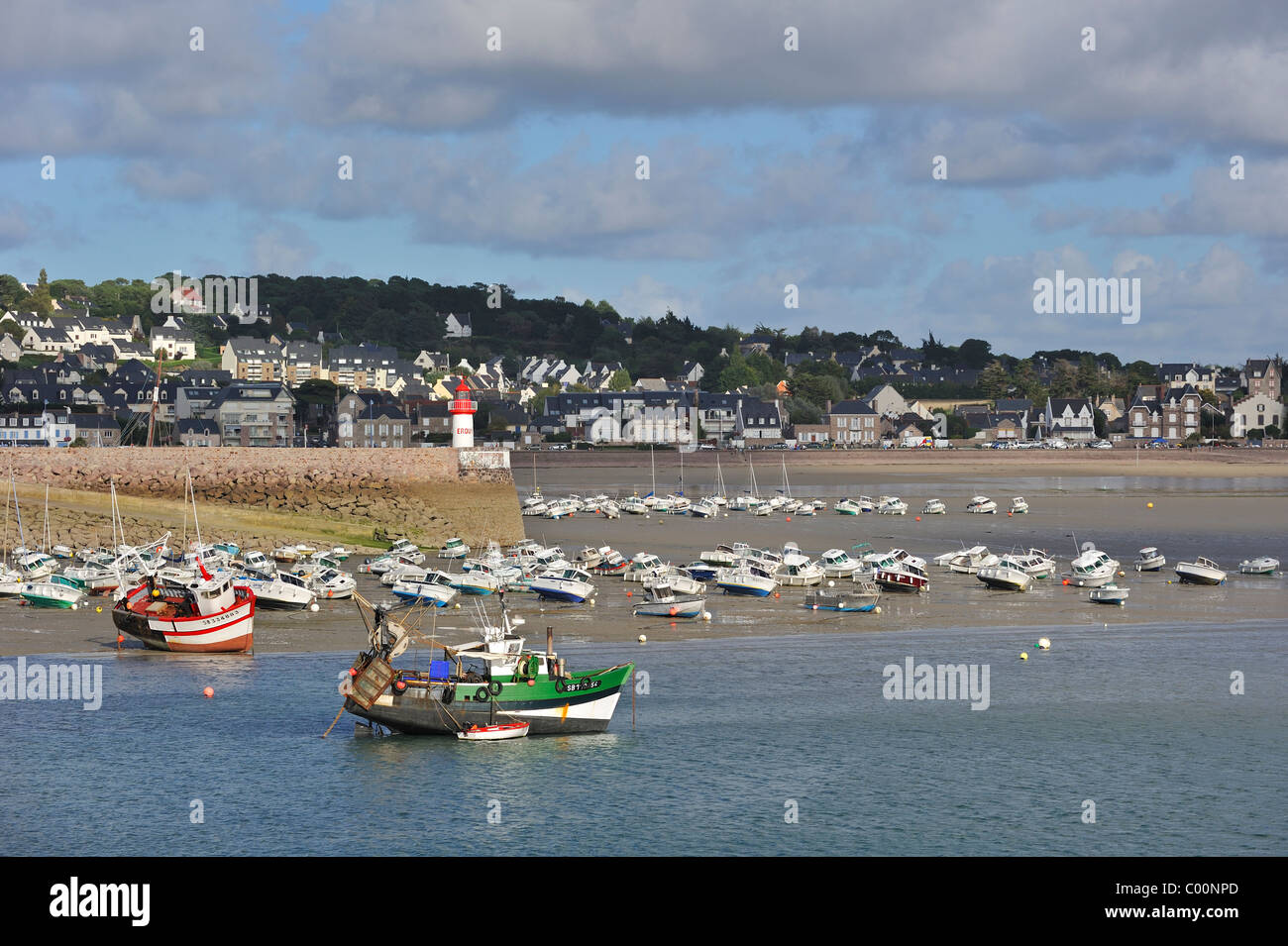 Les bateaux de pêche et bateaux à voile dans le port d'Erquy à marée basse, Côtes-d'Armor, Bretagne, France Banque D'Images