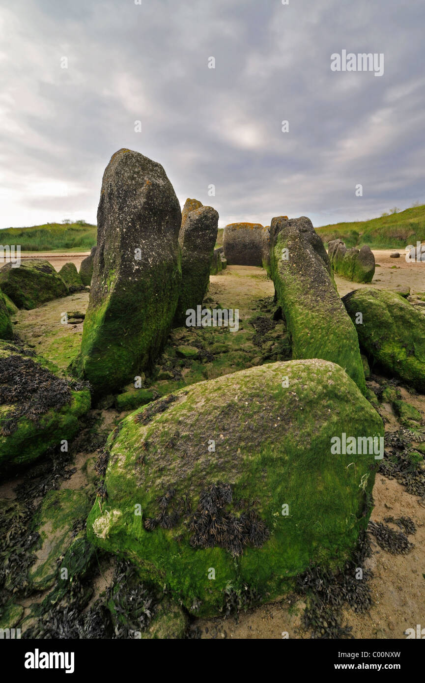 Sépulture néolithique / Galerie / passage grave tombe de Guinirvit, baie du Kernic, Finistère, Bretagne, France Banque D'Images