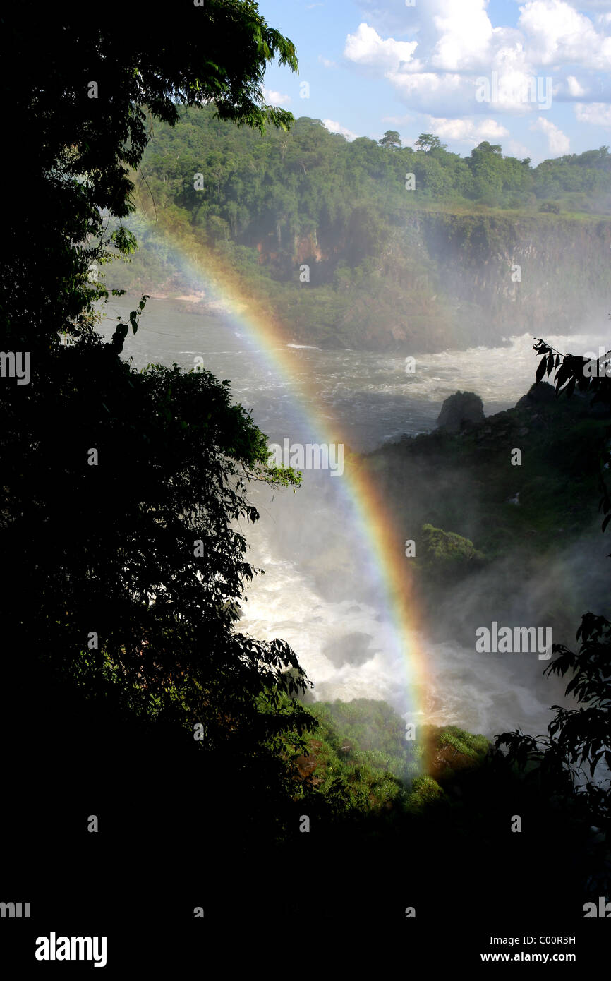 Iguassu Rio [Iguazu Falls] avec rainbow prises à partir du sentier inférieur sur le côté Argentin Banque D'Images