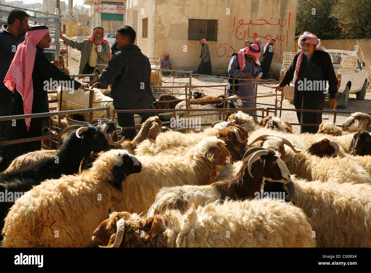 Les hommes dans un village près de Karak, négocier l'achat de chèvres et brebis devant la maison de l'Aïd, la Jordanie. Banque D'Images