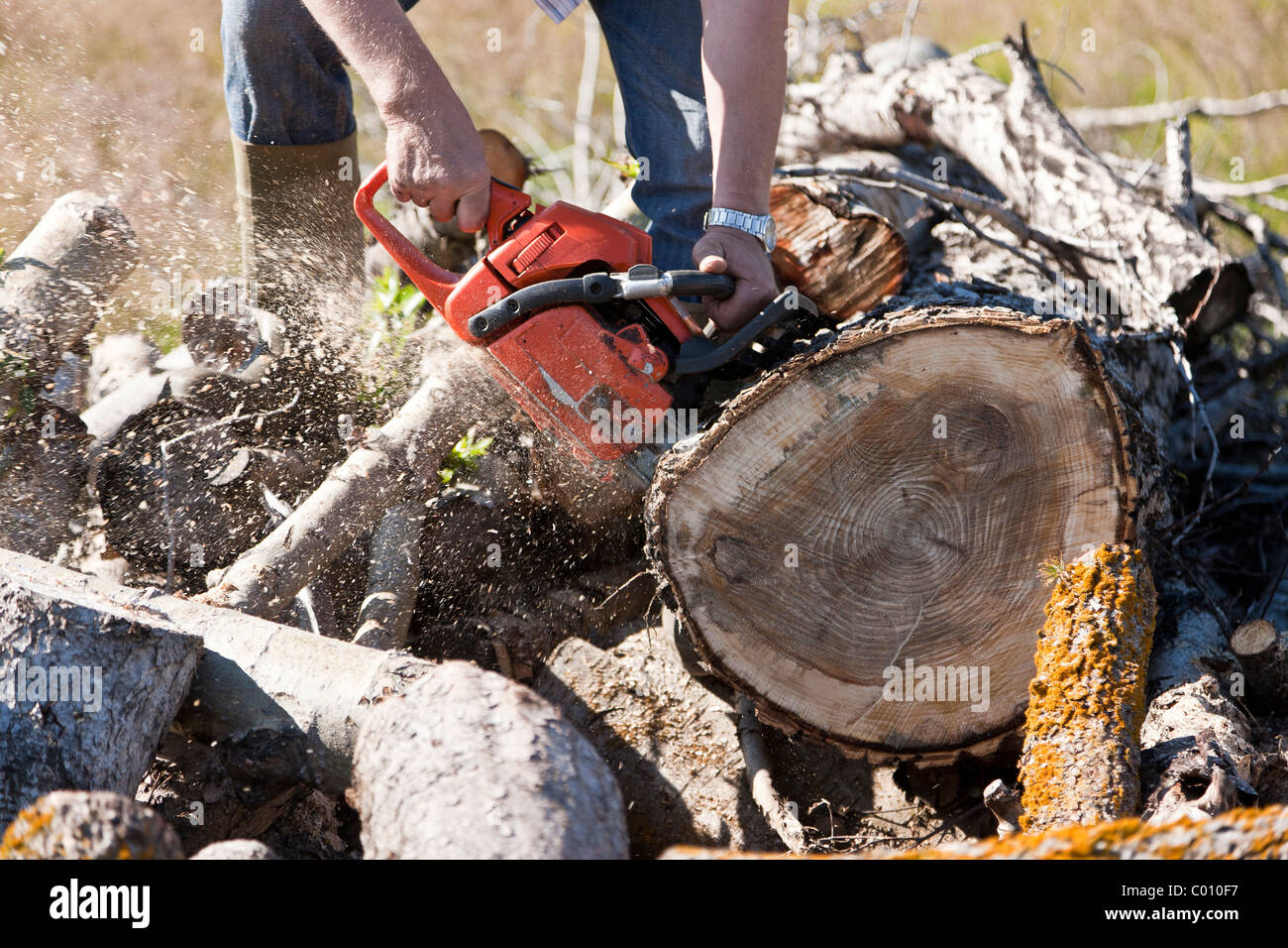 Lumberjack dur sur une chaude journée d'été Banque D'Images