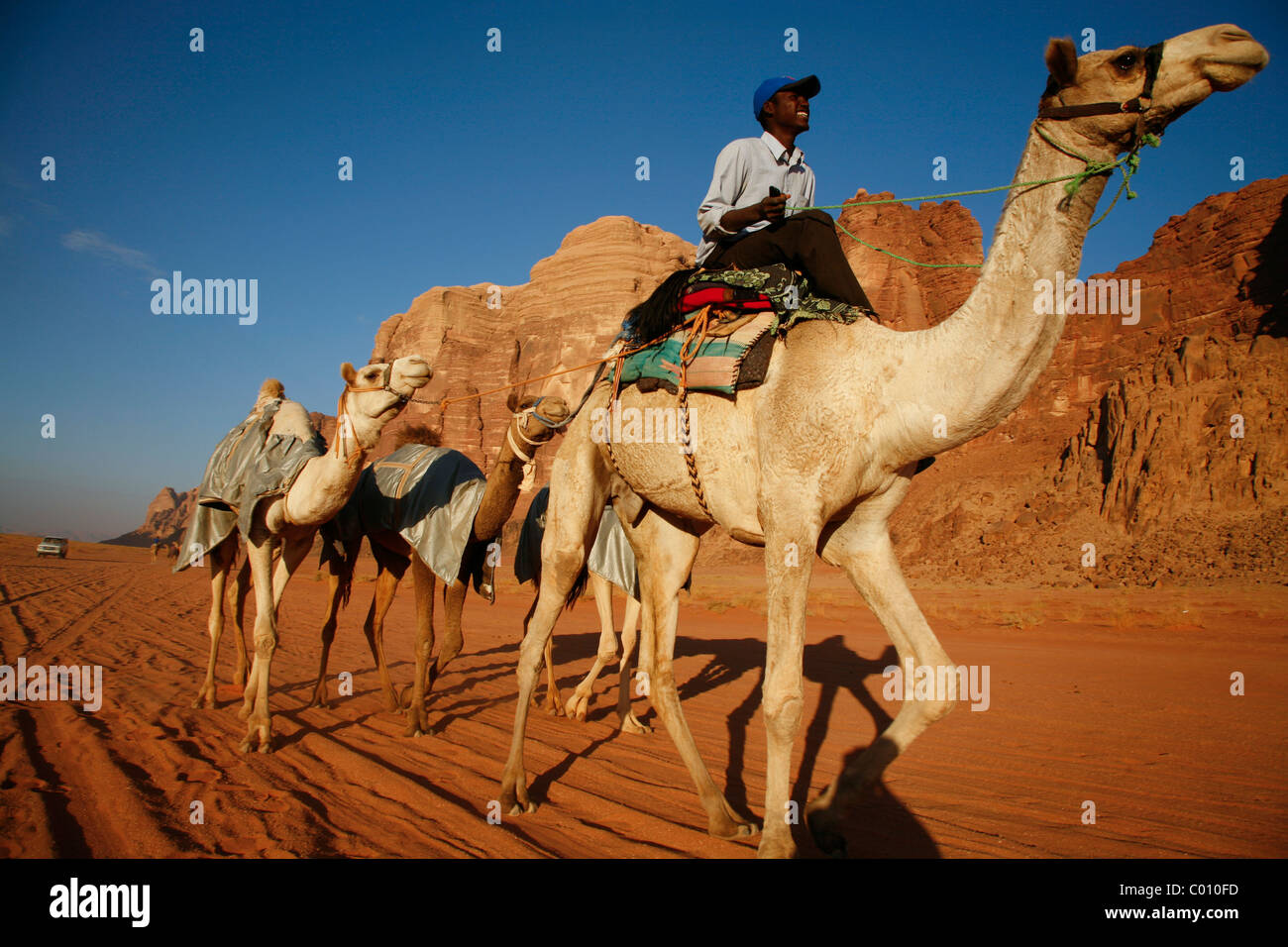 Sudani man training courses de chameaux pour, Wadi Rum, Jordanie. Banque D'Images