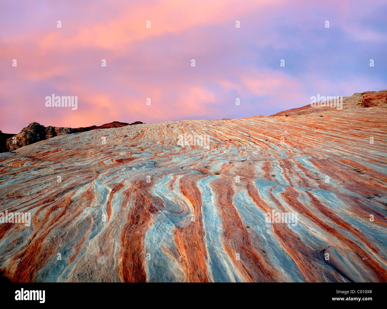 Bandes de roches colorées, striés. Vallée de Feu Park, Nevada Banque D'Images