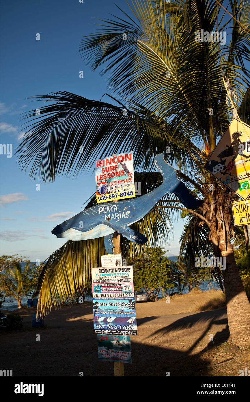 Pancarte "la célèbre plage de surf Las Marias dans Rincon Puerto Rico Banque D'Images