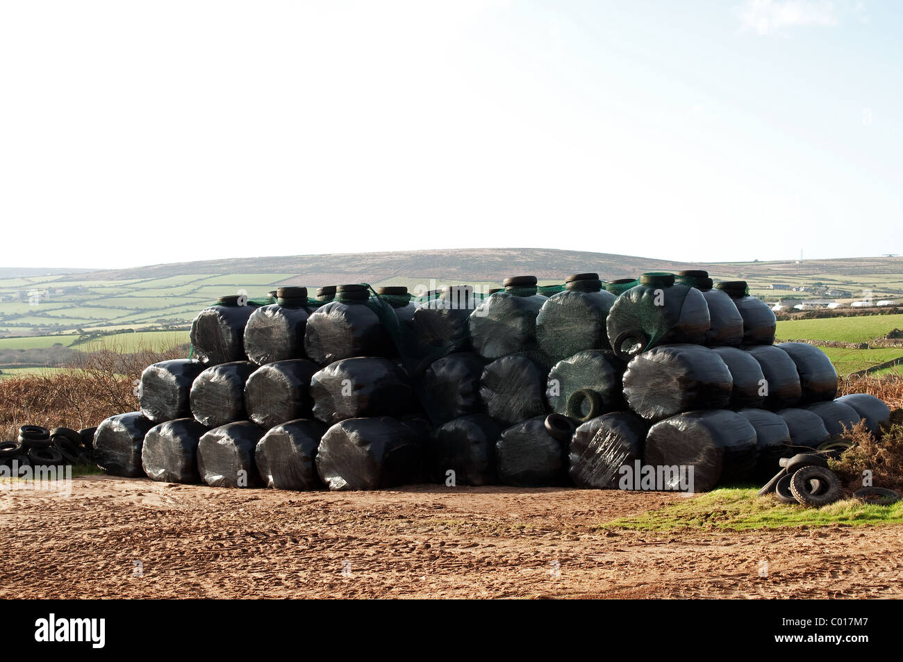 Balles de fourrage d'hiver enveloppé de plastique noir pour protection  contre les intempéries, Cornwall, uk Photo Stock - Alamy