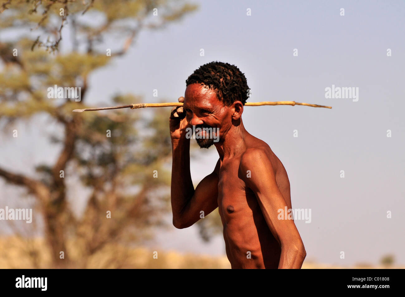 L'homme de la tribu des Khomani-San dans le Kalahari avec une lance, Afrique du Sud, l'Afrique Banque D'Images