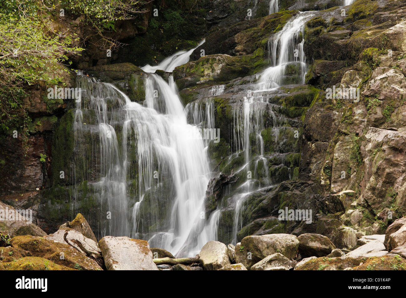 Chutes de Torc, le Parc National de Killarney, County Kerry, Ireland, British Isles, Europe Banque D'Images