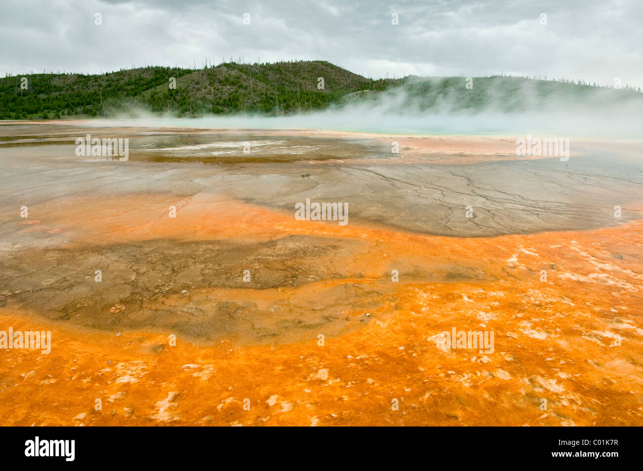 Grand Prismatic Spring, Midway Geyser Basin, Parc National de Yellowstone, Wyoming, USA, Amérique du Nord Banque D'Images