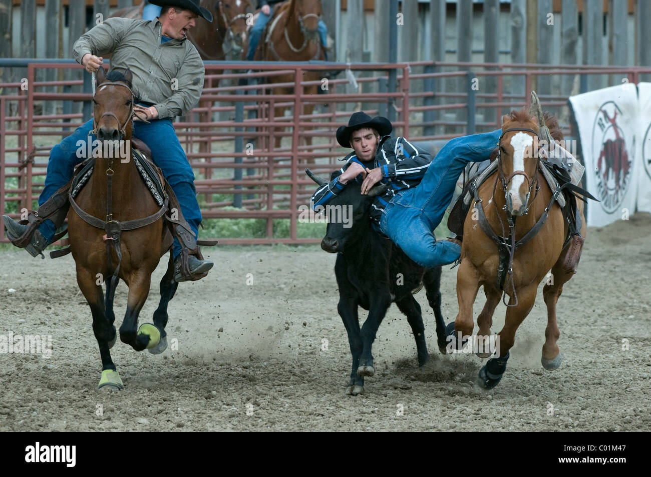 Rodeo, Gardiner, Montana, USA, Amérique du Nord Banque D'Images