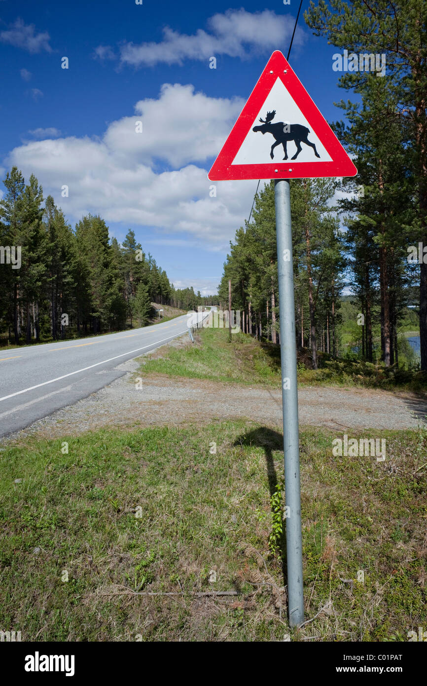 Panneau d'avertissement de l'orignal, Norway, Scandinavia, Europe Banque D'Images